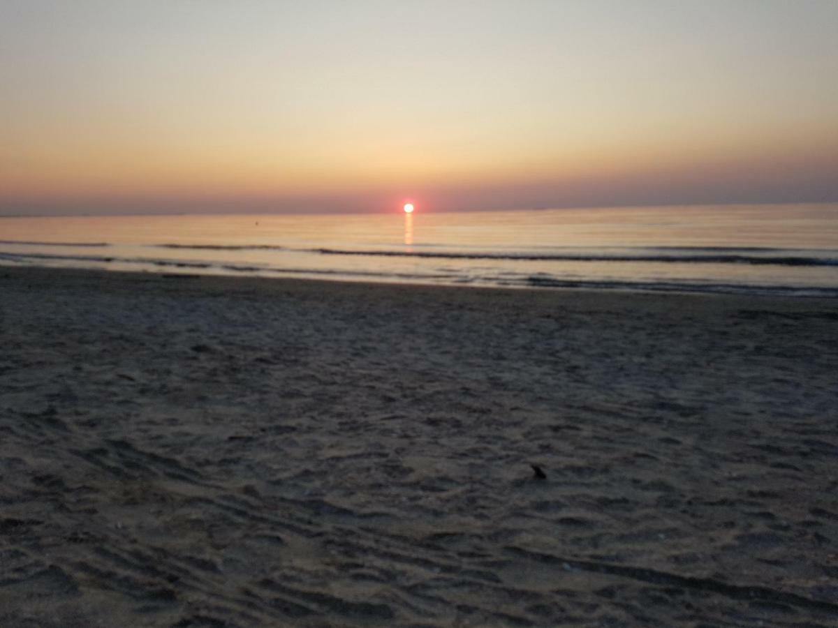 Oceana Summerland Apartment Mamaia Eksteriør bilde